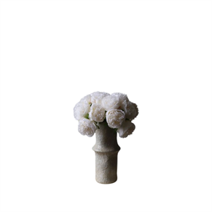 Botané Grand Mini-Pfingstrosenstrauß Weiß