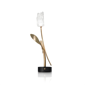 SLAMP Tulip Tragbare Lampe Transparent/ Schwarz Lampensockel